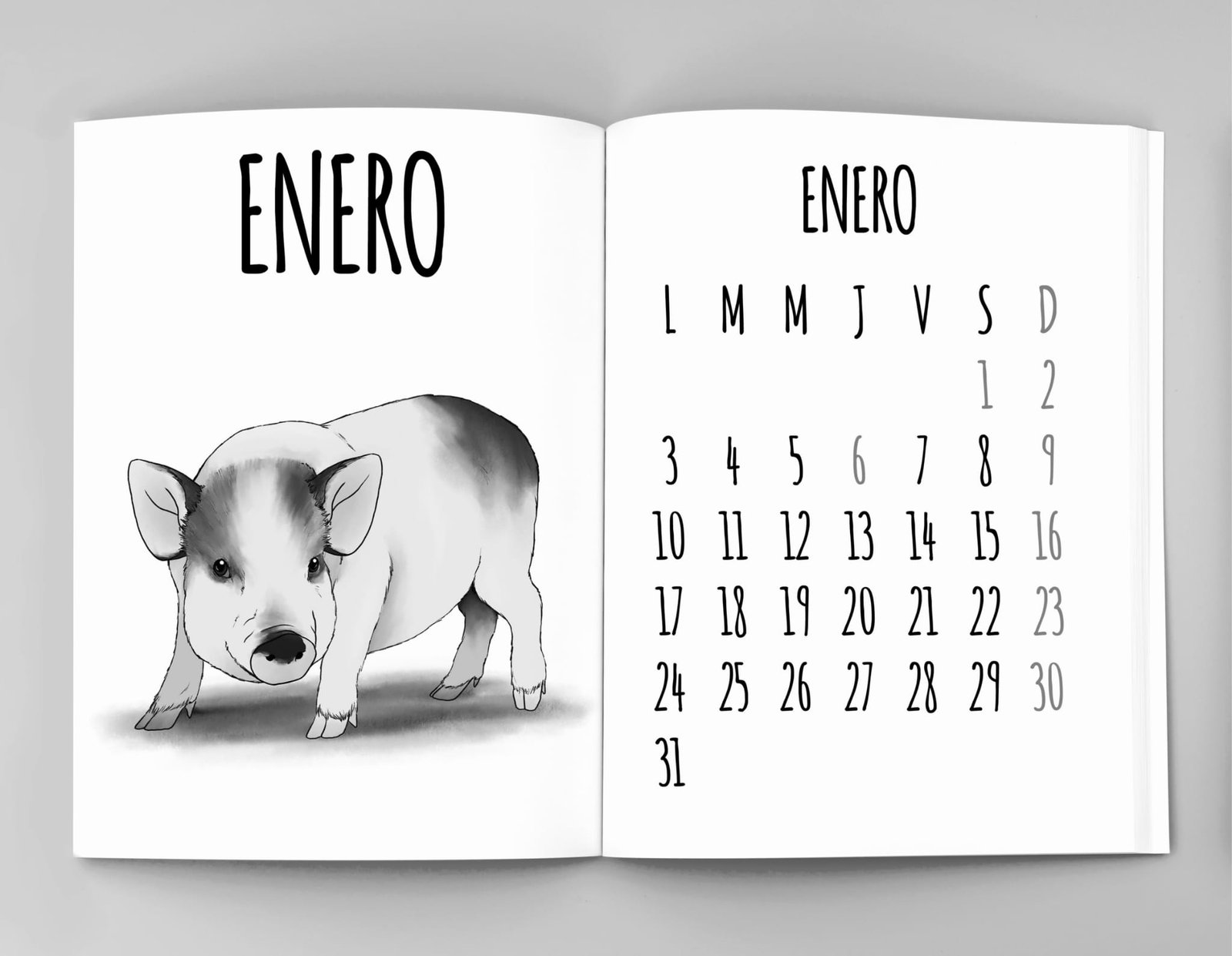 agenda_solidaria_detalle_enero