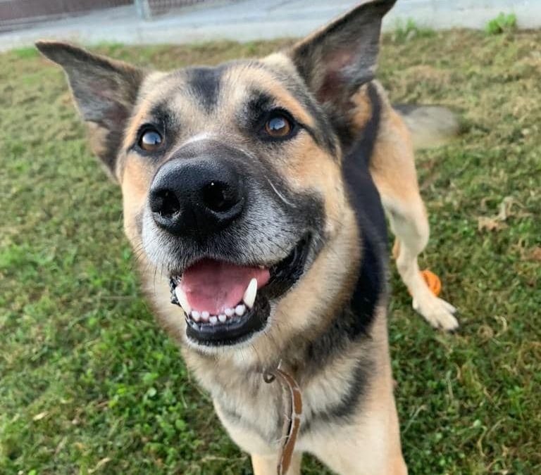MILÚ